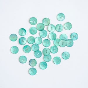 Hand Dyed Shell buttons by the Woven in Mint